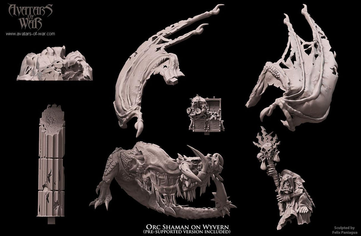 Orc Shaman on Wyvern