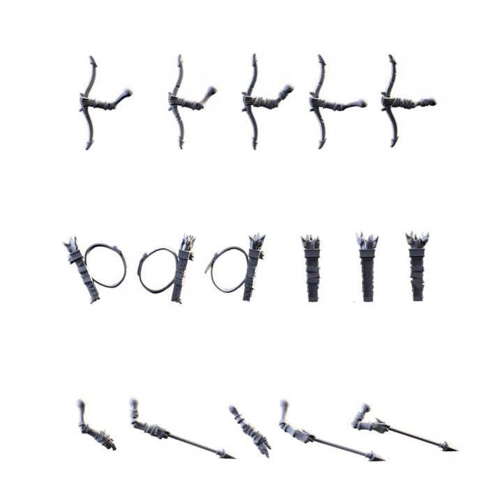 Txarli Factory Skeletons HW Shield