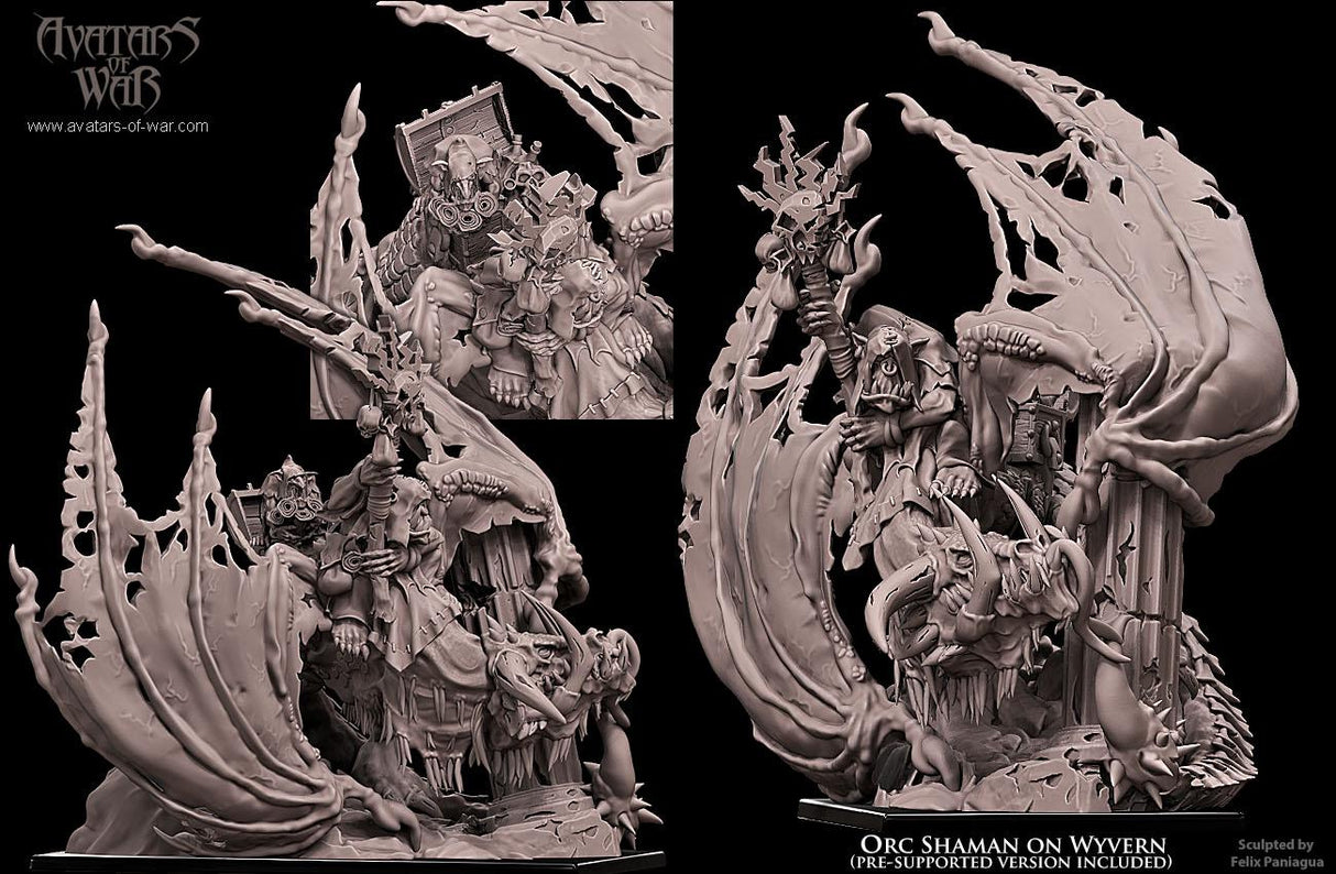 Orc Shaman on Wyvern