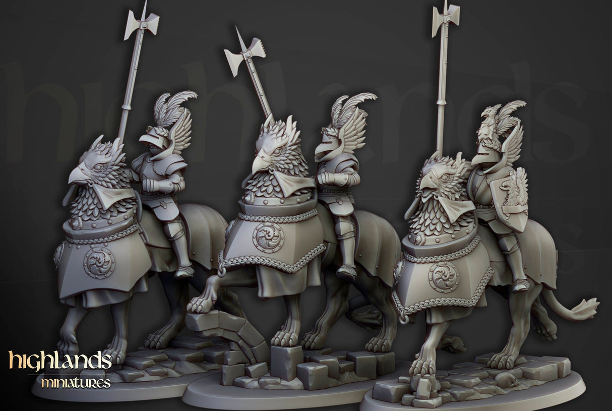 Knights of the Rising Sun