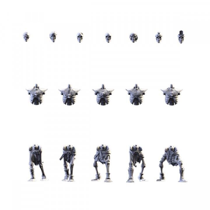 Txarli Factory Skeletons HW Shield