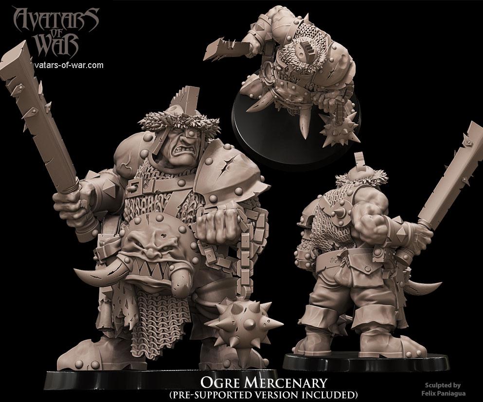 Ogre Mercenary
