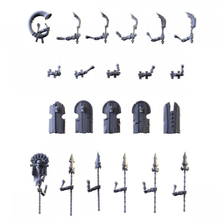 Txarli Factory Skeletons HW Shield