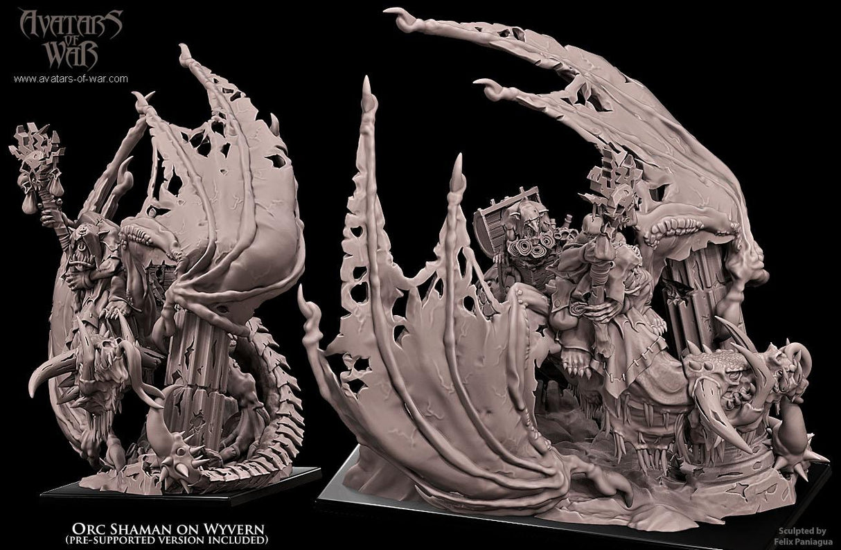 Orc Shaman on Wyvern