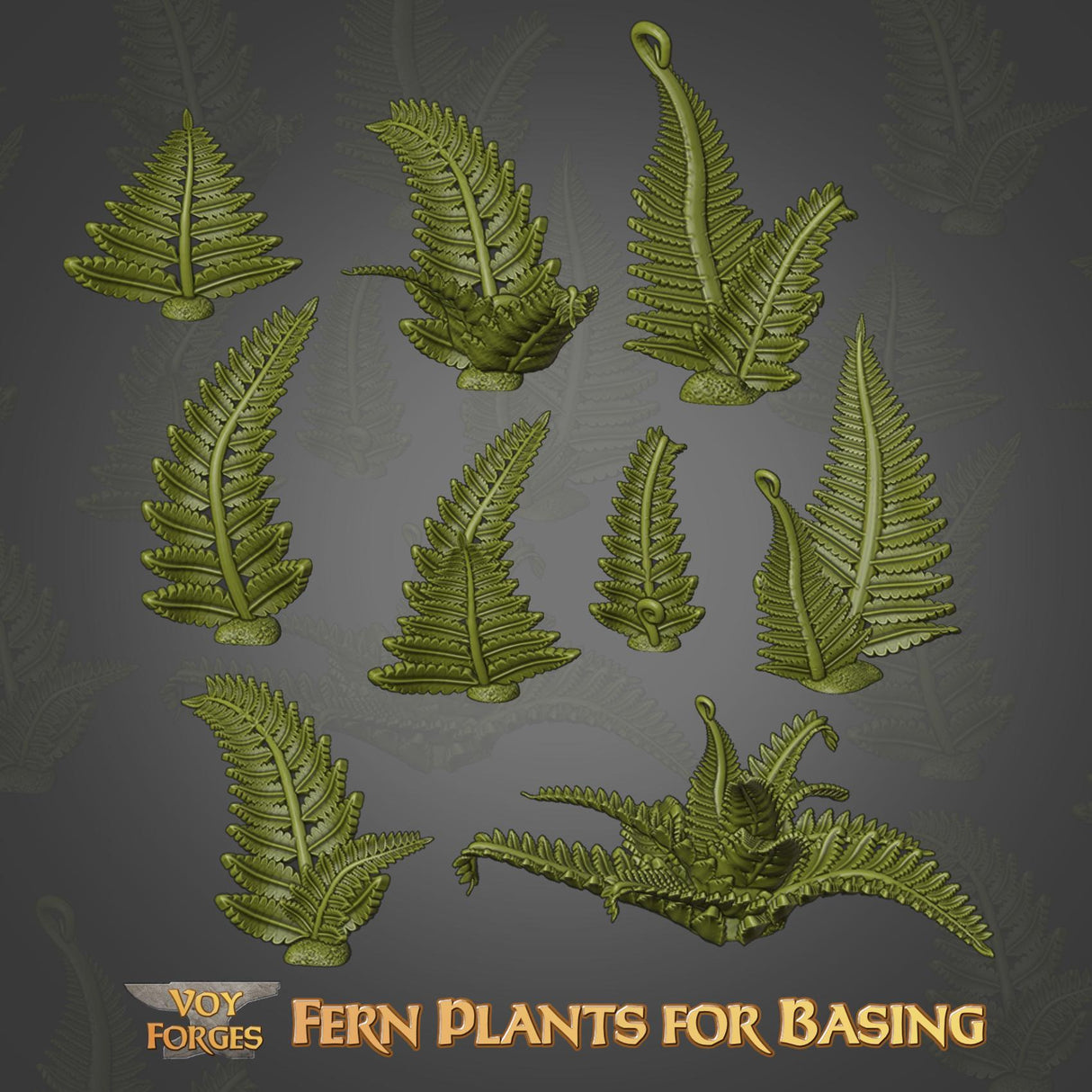 Fern plants for basing