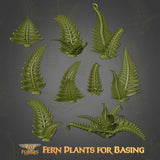 Fern plants for basing