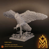 Forest Eagle