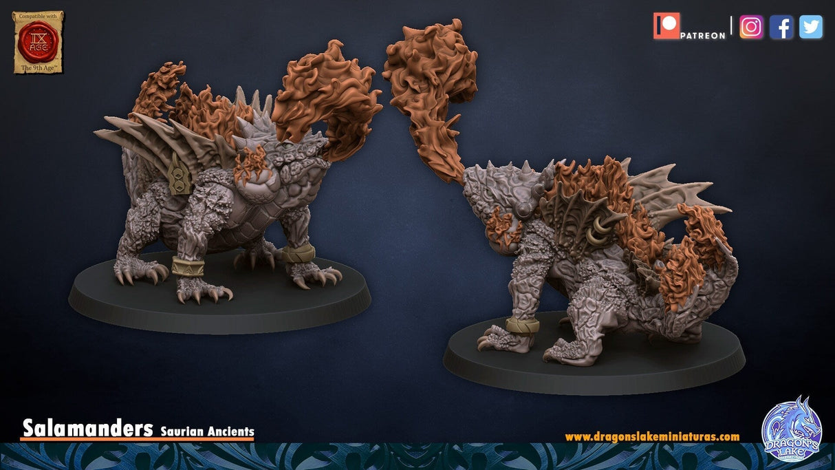 Mystic Salamander