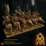 Wood Elf Wild Huntsmen