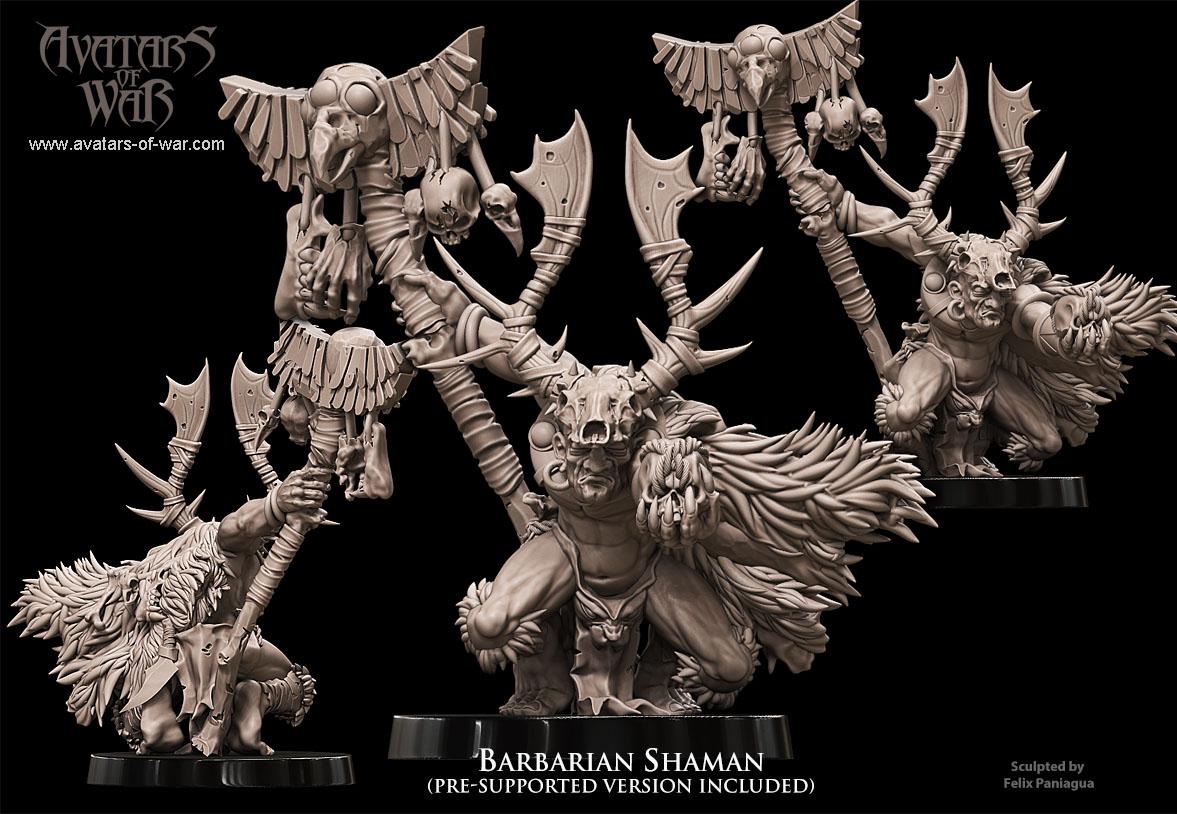 Barbarian Shaman