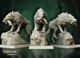 Direwolves