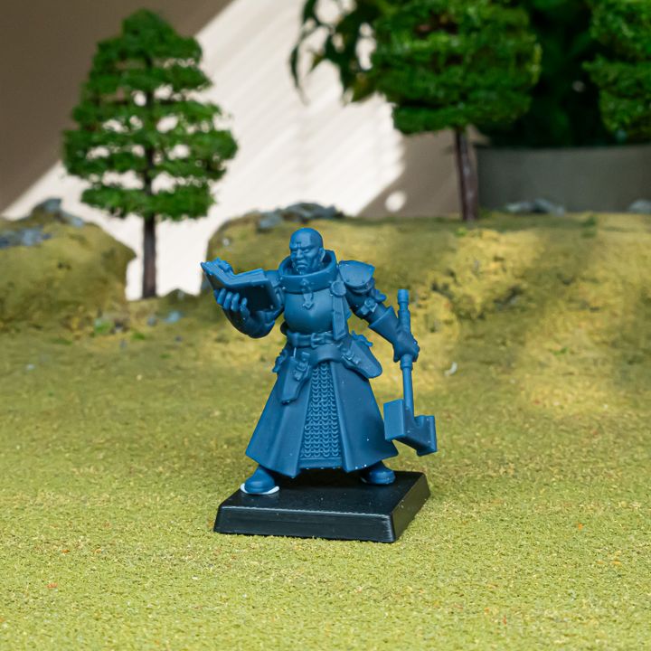Sunland Battle Priest