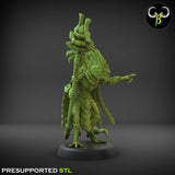 NovaProphet