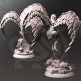 Hyl Hygrie - Hill Harpies