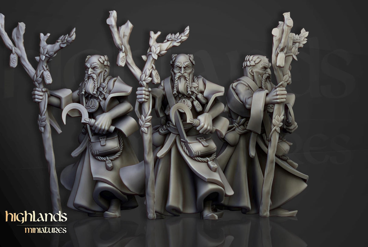 Sunland Wizard