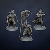 Dread Elves Raiders