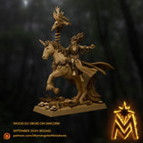Druid on Unicorn