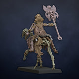 Hierarch on Horse