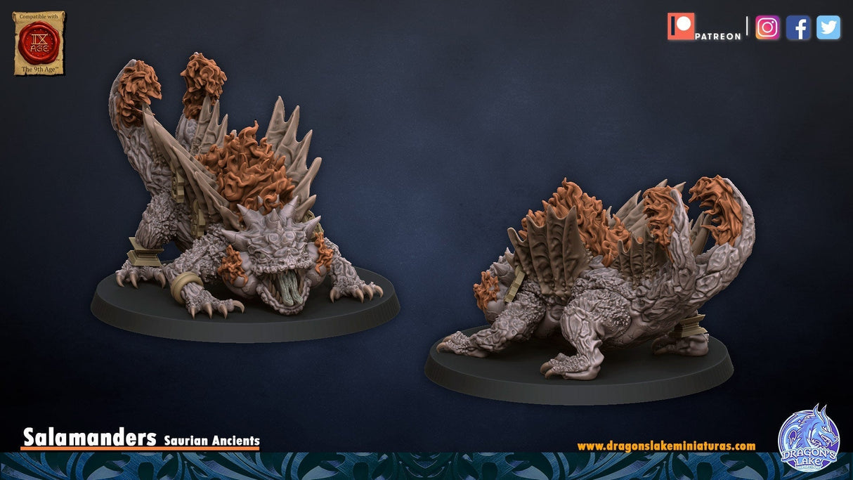 Mystic Salamander