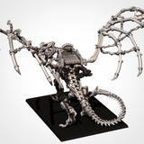 Bone Dragon