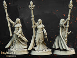 Damsel of the Lady