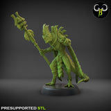 NovaProphet