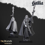 Damsel of Galia on Foot  Mounted