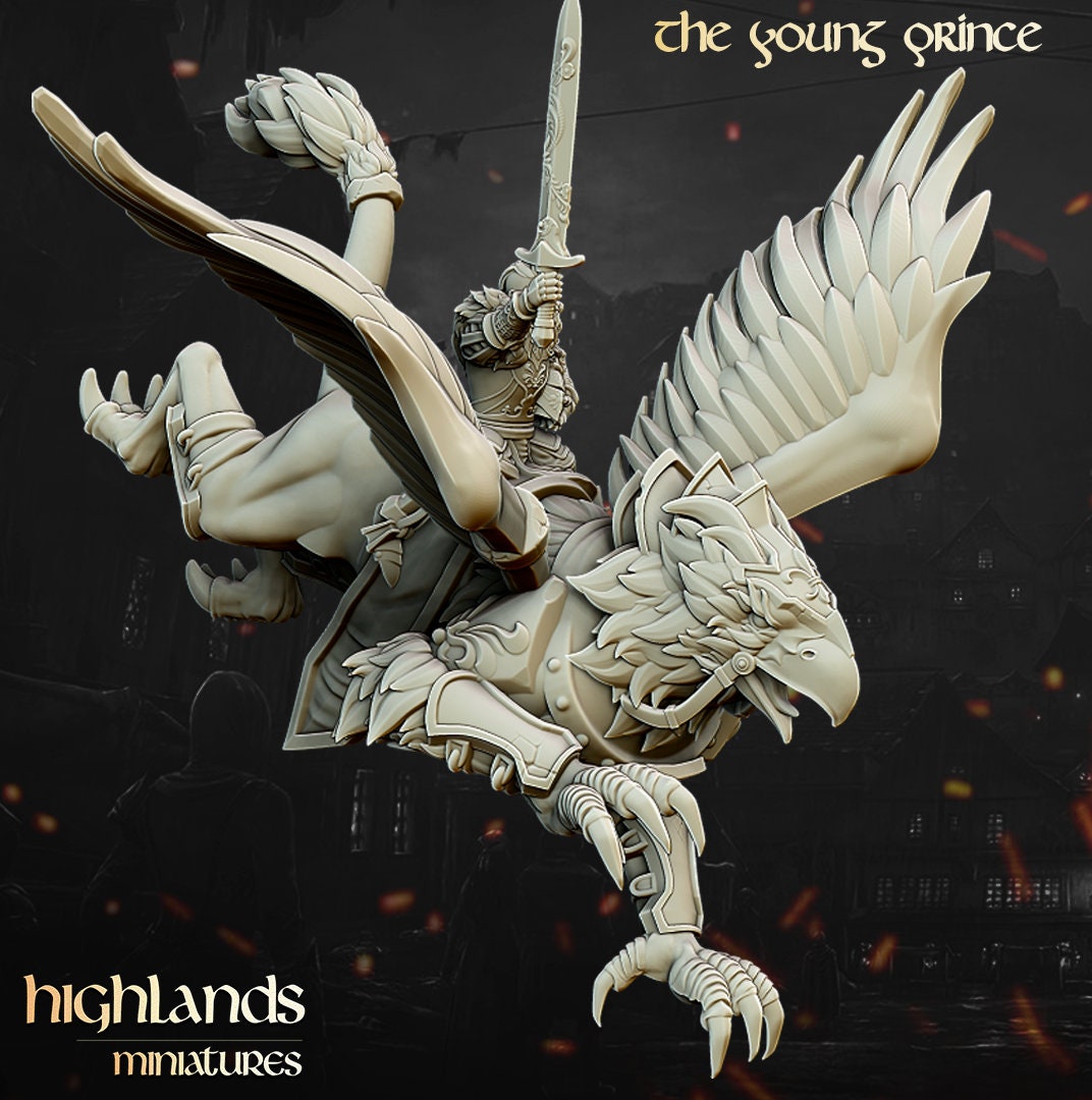 Hero on Hippogriff