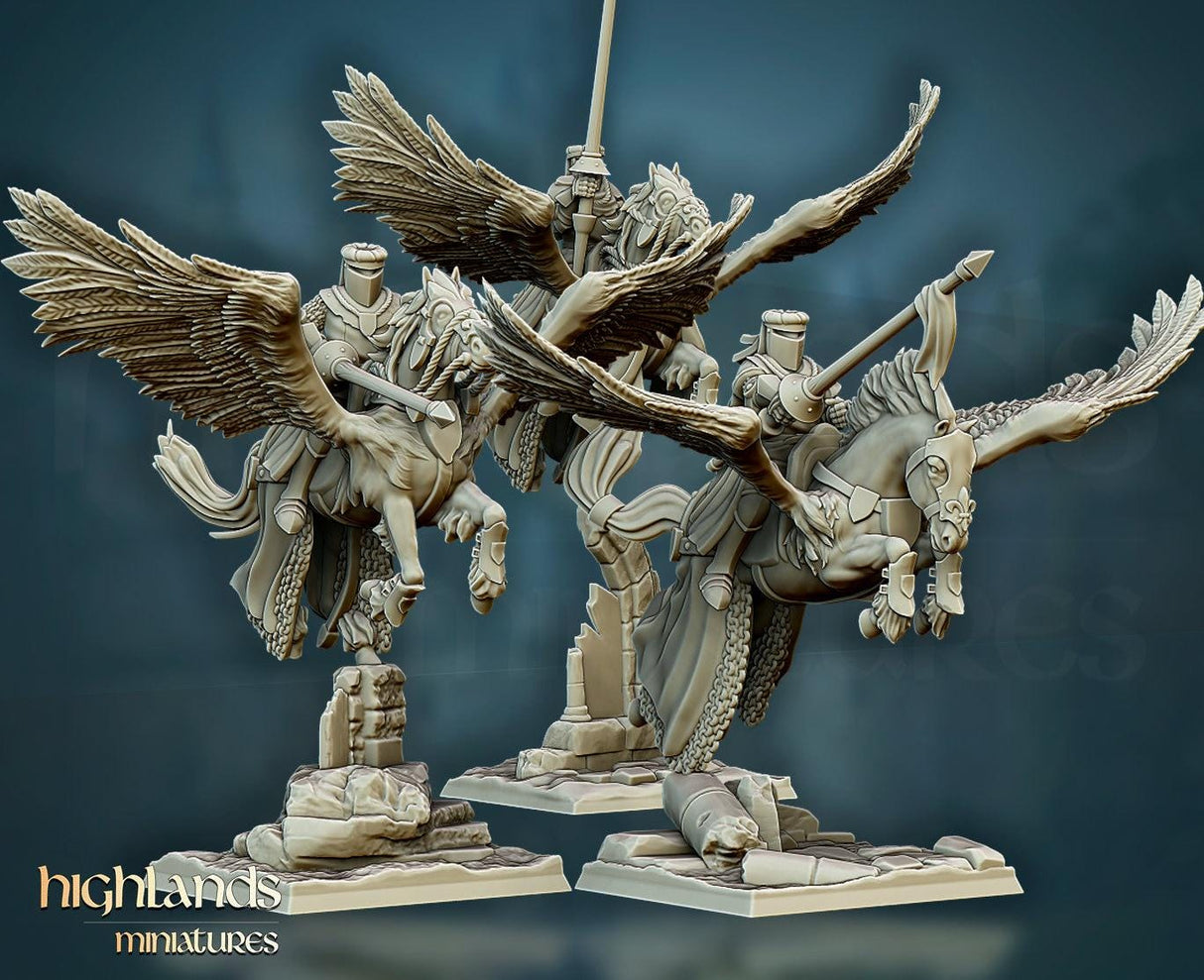 Pegasus Knights