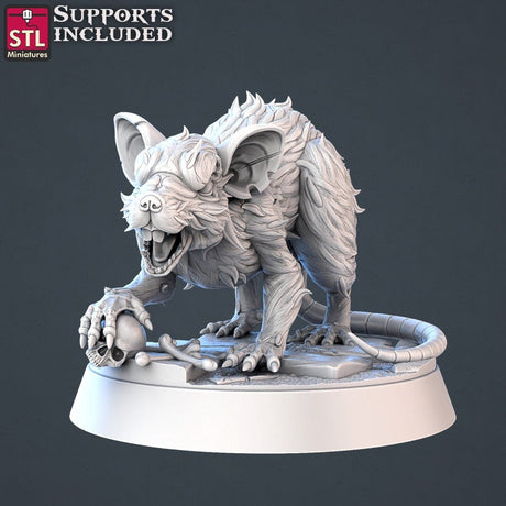 Gigant Rats STL Miniatures - BrodaForge