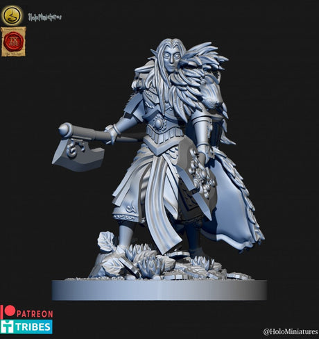 Holo Miniatures Highborn Elves Lions Guards Hero - BrodaForge