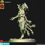 Holo Miniatures Sylvan Elves Dryad Unit - BrodaForge