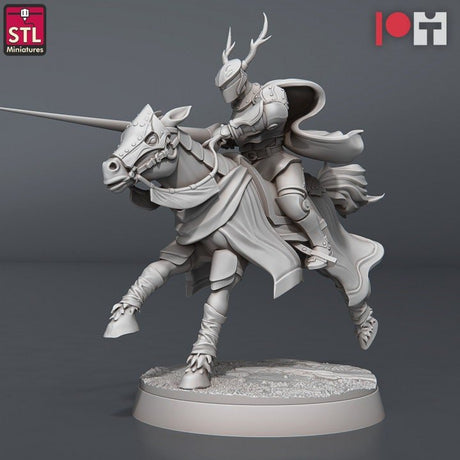 Jousting Combatant A STL Miniatures - BrodaForge