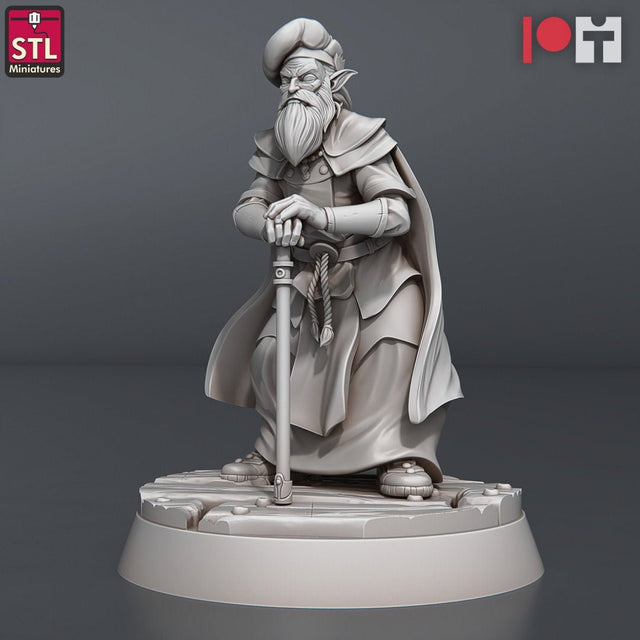 Noble Judge C STL Miniatures - BrodaForge