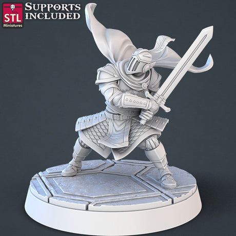 Royal Cour Guard STL Miniatures - BrodaForge