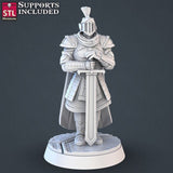 Royal Court STL Miniatures - BrodaForge