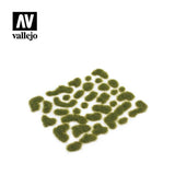 VALLEJO SC401 Wild Tuft - Dry Green - BrodaForge